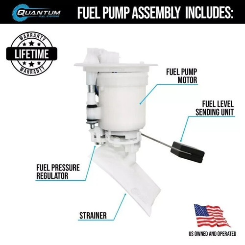 Gruppo pompa carburante qfs - gruppo,