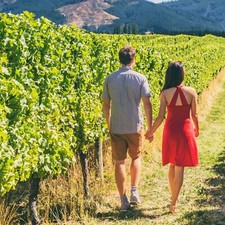 3T Franconia Weinland | buono