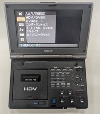 Videoregistratore portatile