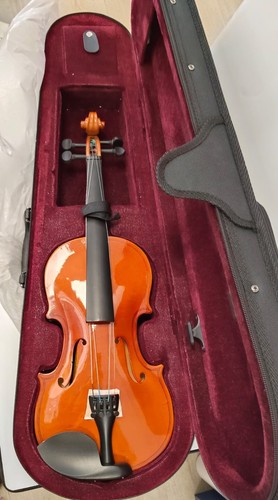 Custodia violino rigida - violino,