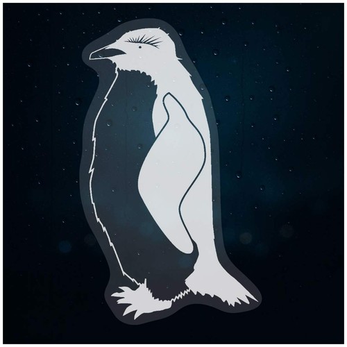Rockhopper penguin - 'rockhopper, penguin'