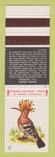 Copertina libro fiammiferi - ,