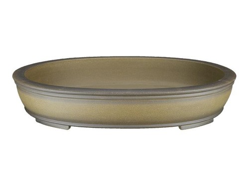 Vaso per bonsai ovale - , in