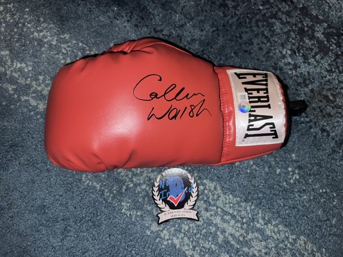 Guantone boxe firmato - guantone,