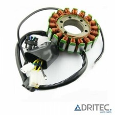 ✅ Alternatore Statore Yamaha XTZ 660 Super Tenere XTZ660 (2008-2015)