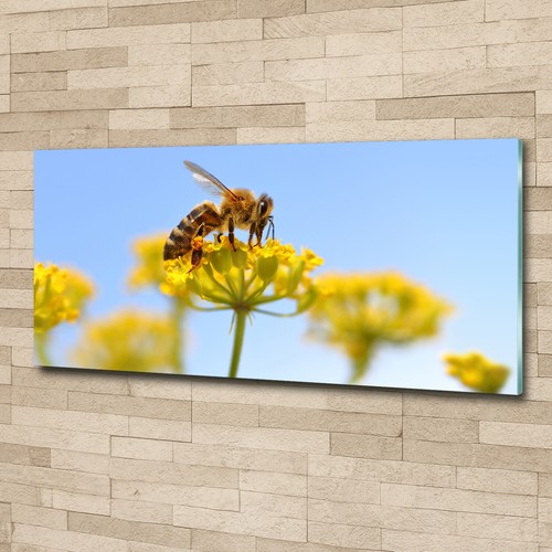 Quadro immagine arte parete - immagine,