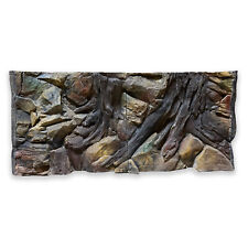 🐠 Parete posteriore