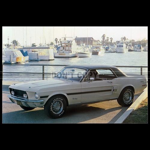 Photo 037437 ford mustang - photo,