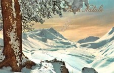 Merry Christmas Postcard Lot