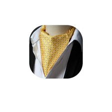 Ascot Uomo Foulard Elegante