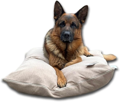 Cuccia cane interno taglia - -,
