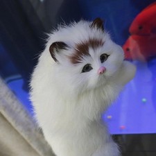 Peluche gatto persiano