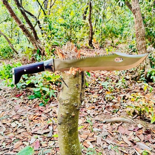 Coltello bowie sopravvivenza - coltello,
