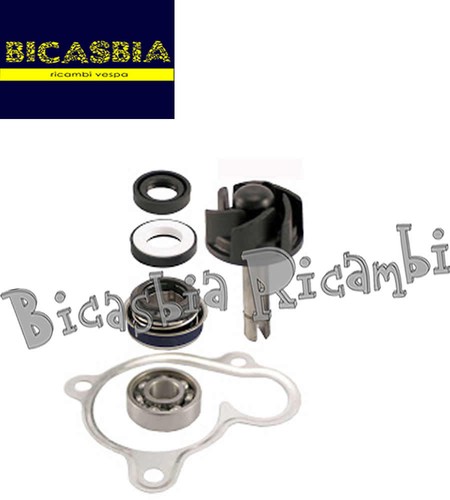 1263 kit revisione pompa - 1263,