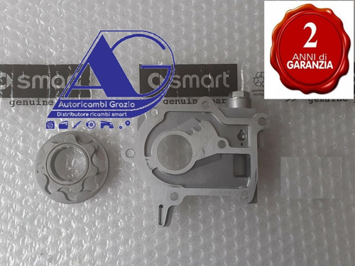 Pompa olio smart 1000 - smart,