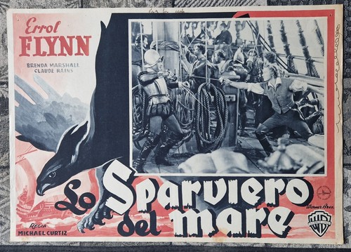 Sparviero del mare errol - sparviero,