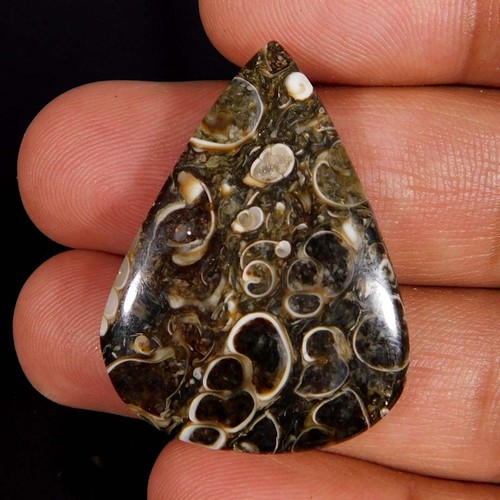 Cabochon pera fossile - fossile, di
