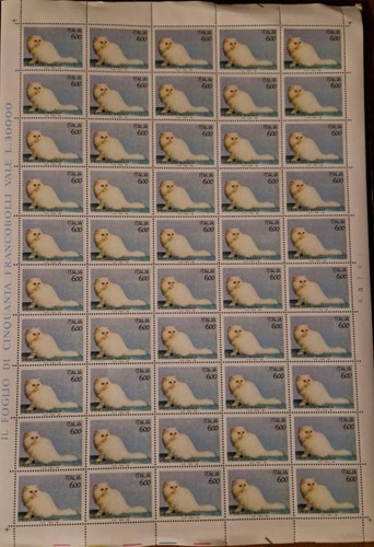 Italia 1993 gatti persiano - italia,