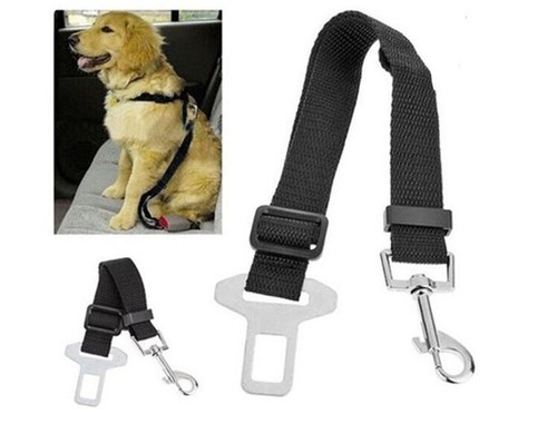 Cintura sicurezza per cani - di,