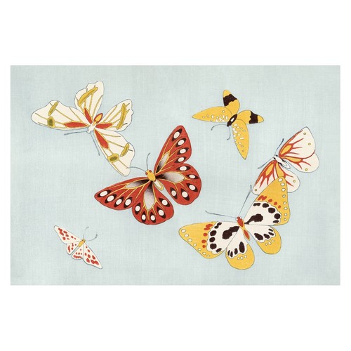 Collezione farfalle poster - collezione,