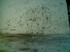 MOTORE Ford Fiesta 4 Hatchback