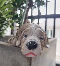 Dog Puppy Mastiff Figurine