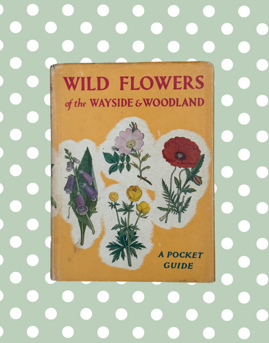 Wild flowers the wayside - wild, &
