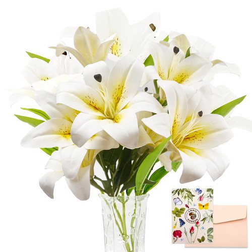 11teste fiori giglio - di,