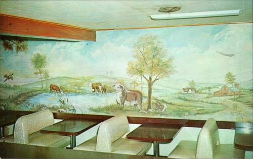 Cartolina camionista oberlin - camionista,