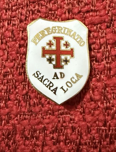 Spilla peregrinatio sacra - spilla,