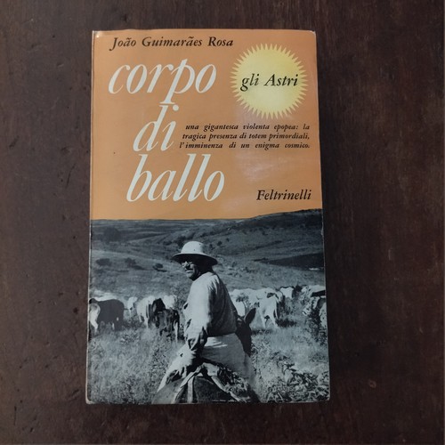 Joao guimaraes rosa - rosa,