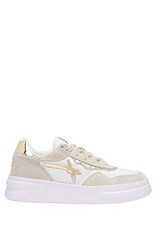W6YZ XENIA W Bianco-Platino