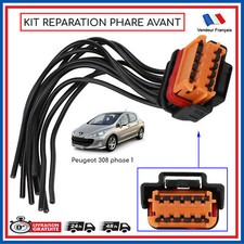 FAISCEAU PRISE ELECTRIQUE POUR