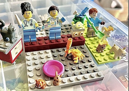 Lego idea veterinaria lotto - -,