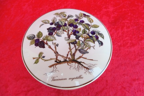 Bella scatola con coperchio - con,