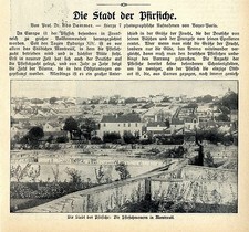 Prof. Dr. U.Dammer Die Stadt
