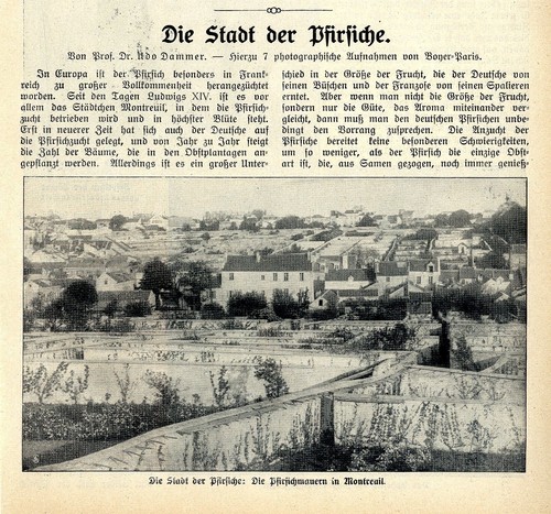 Prof dammer la città - la,