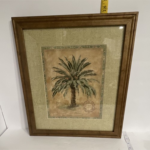 Phoenix reclinata senegal date - reclinata,