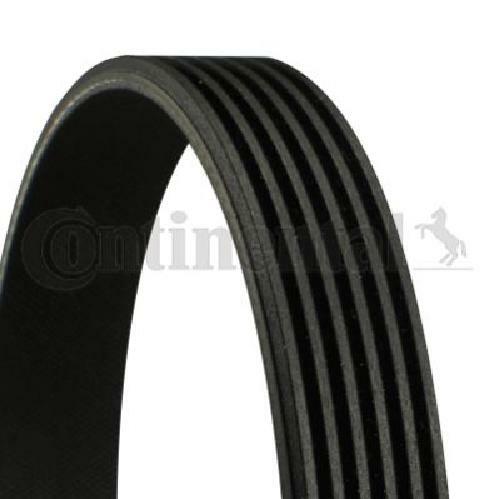 Cinghia trapezoidale originale