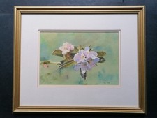 Quadro acquerello natura morta