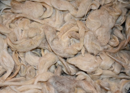 Lana grezza naturale per - naturale, per 