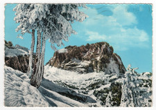 Dolomiti - Il Sassolungo versante Nord innevato - Trento (1965)