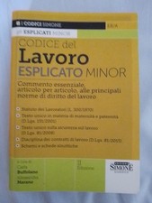 Codice Lavoro Esplicato Minor