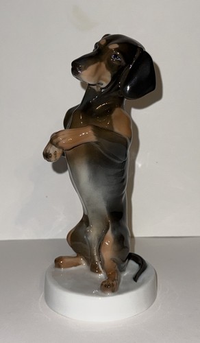 Cane rosenthal bassotto fa - cane,