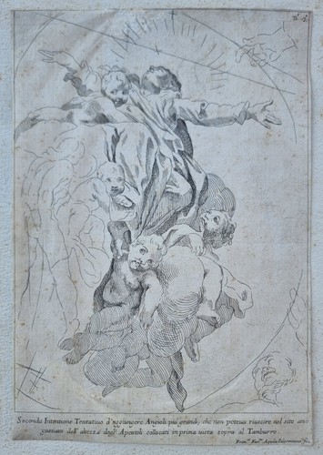 Francesco faraone aquila - francesco,