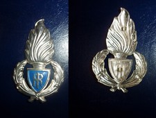 GUARDIE CARCERARIE AGENTI DI CUSTODIA Fregio metallo x berretto - No alette