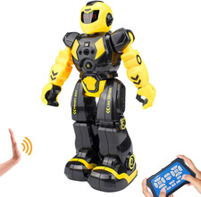 Robot Intelligente Interattivo