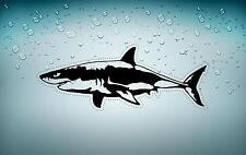 Sticker adesivo adesivi tuning