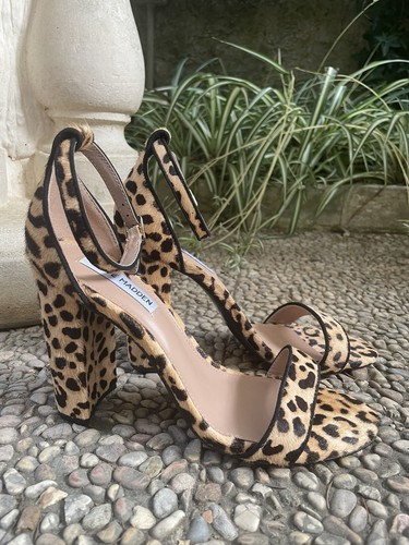 Steve madden carrson - carrson,