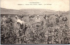 21 DIJON - Maison Paul court -